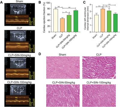 Network pharmacology-based approach to explore the underlying mechanism of sinomenine on sepsis-induced myocardial injury in rats